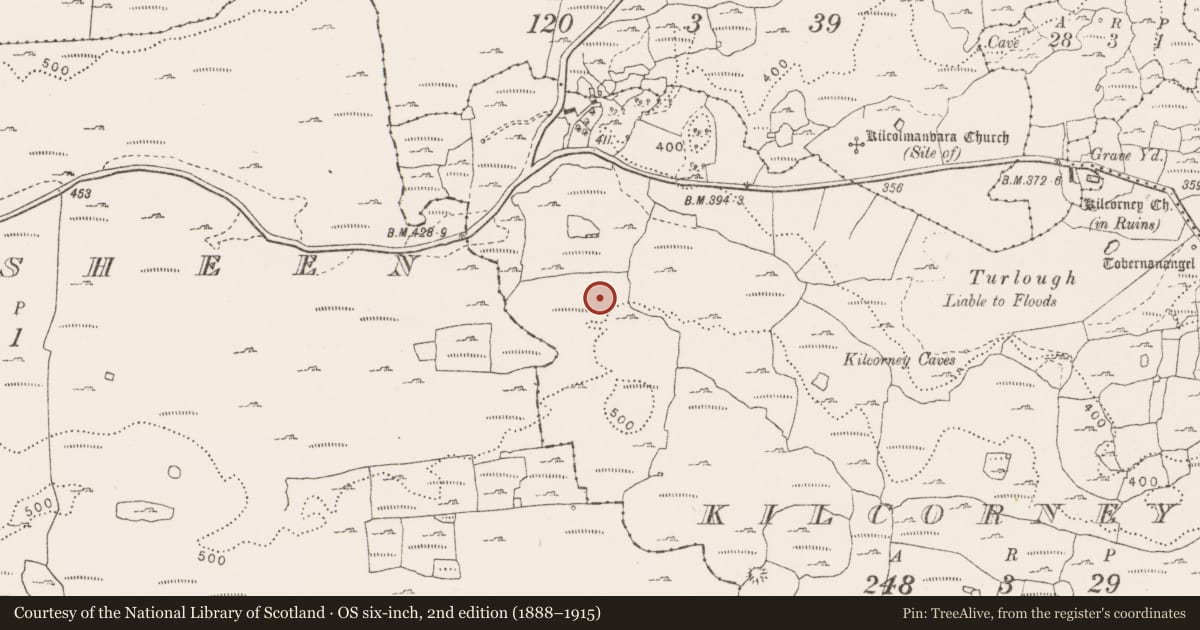Ordnance Survey six-inch map, 2nd edition (1888–1915) covering the location of Enclosure, Kilcorney, County Clare, with a pin at the register's coordinates