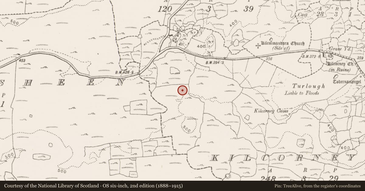 Ordnance Survey six-inch map, 2nd edition (1888–1915) covering the location of Enclosure, Kilcorney, County Clare, with a pin at the register's coordinates