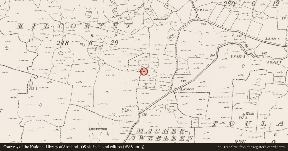 Ordnance Survey six-inch map, 2nd edition (1888–1915) covering the location of Enclosure, Magheraweeleen, County Clare, with a pin at the register's coordinates