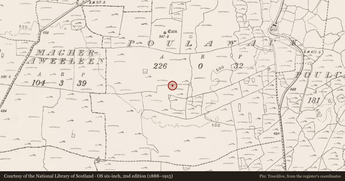 Ordnance Survey six-inch map, 2nd edition (1888–1915) covering the location of Hut site, Poulawack, County Clare, with a pin at the register's coordinates