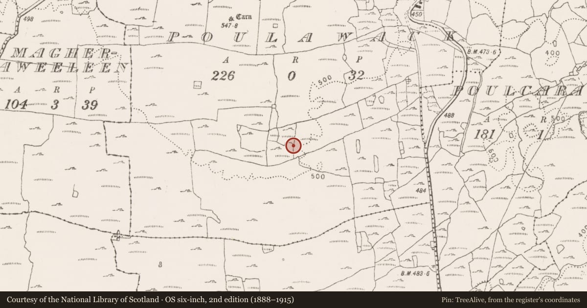 Ordnance Survey six-inch map, 2nd edition (1888–1915) covering the location of Ringfort - cashel, Poulawack, County Clare, with a pin at the register's coordinates