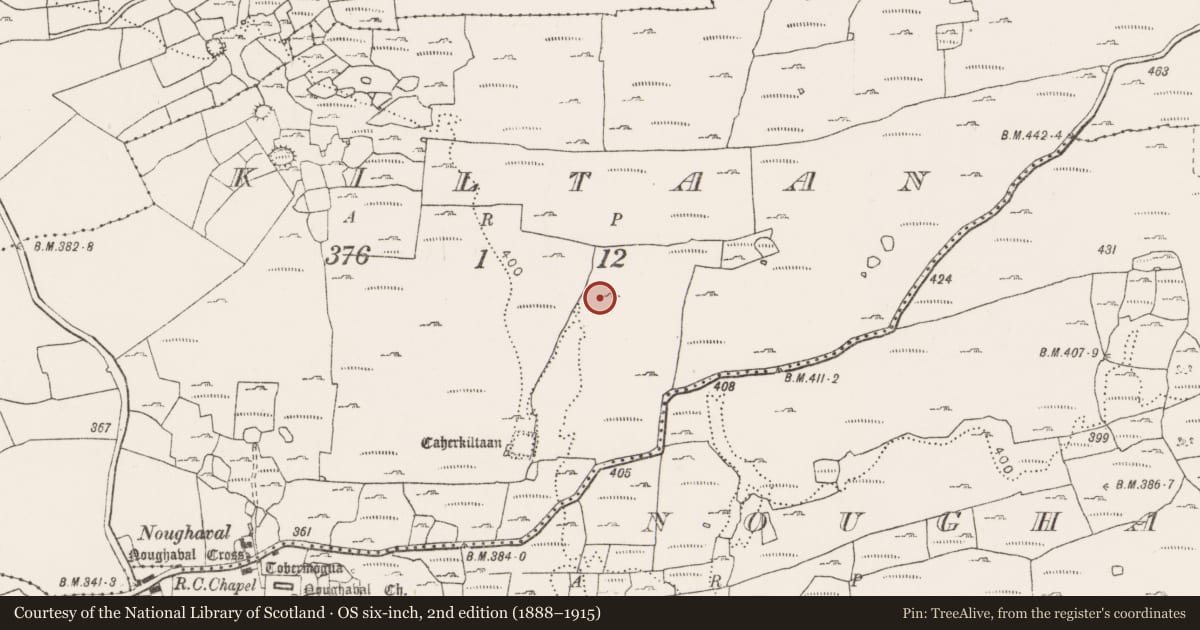Ordnance Survey six-inch map, 2nd edition (1888–1915) covering the location of Hut site, Kiltaan, County Clare, with a pin at the register's coordinates