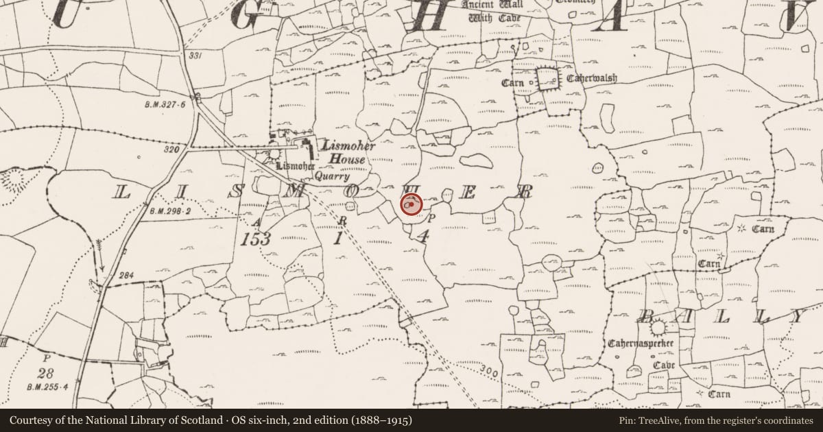 Ordnance Survey six-inch map, 2nd edition (1888–1915) covering the location of Hut site, Lismoher, County Clare, with a pin at the register's coordinates