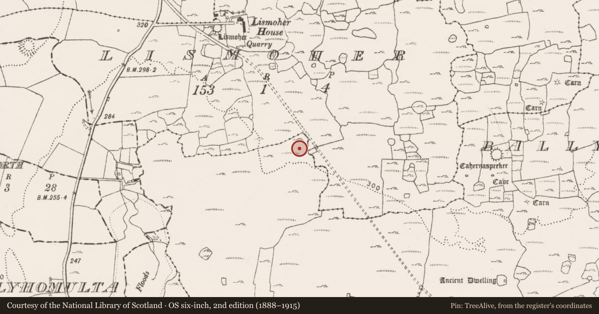 Ordnance Survey six-inch map, 2nd edition (1888–1915) covering the location of Hut site, Ballyganner North, County Clare, with a pin at the register's coordinates