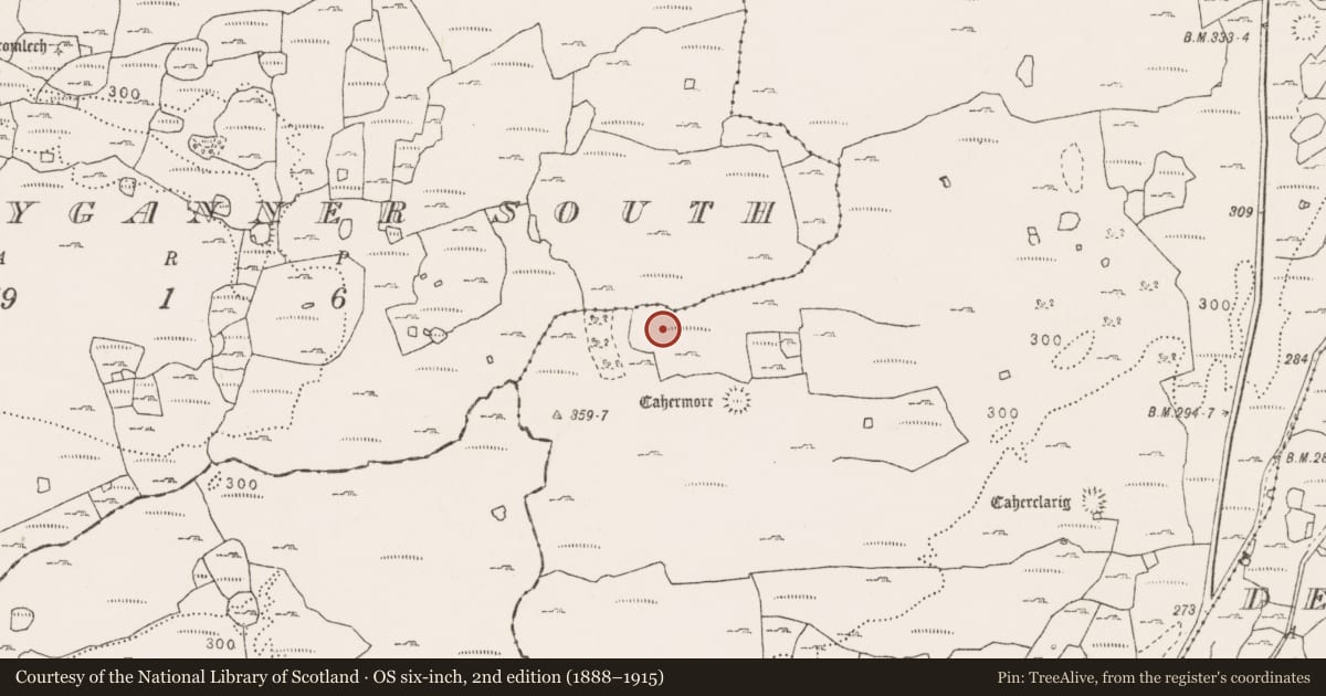 Ordnance Survey six-inch map, 2nd edition (1888–1915) covering the location of Enclosure, Sheshymore, County Clare, with a pin at the register's coordinates