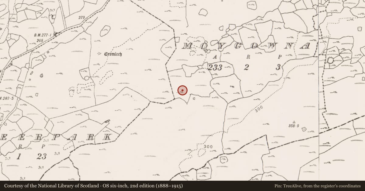 Ordnance Survey six-inch map, 2nd edition (1888–1915) covering the location of Enclosure, Moygowna, County Clare, with a pin at the register's coordinates