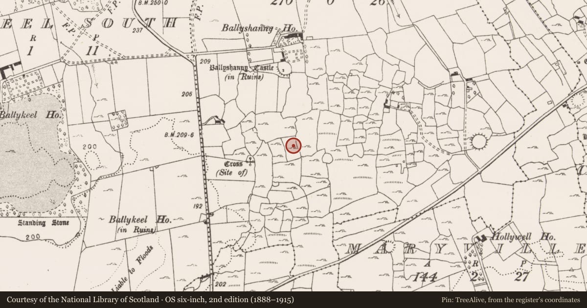Ordnance Survey six-inch map, 2nd edition (1888–1915) covering the location of Hut site, Ballyshanny, County Clare, with a pin at the register's coordinates