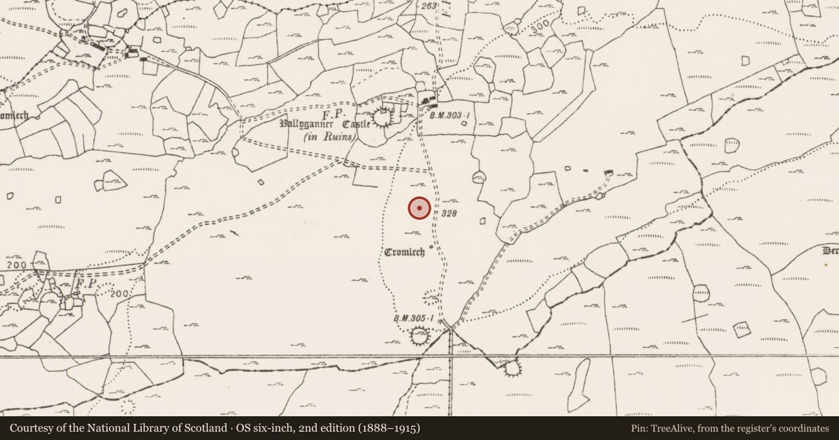 Ordnance Survey six-inch map, 2nd edition (1888–1915) covering the location of Hut site, Ballyganner South, County Clare, with a pin at the register's coordinates