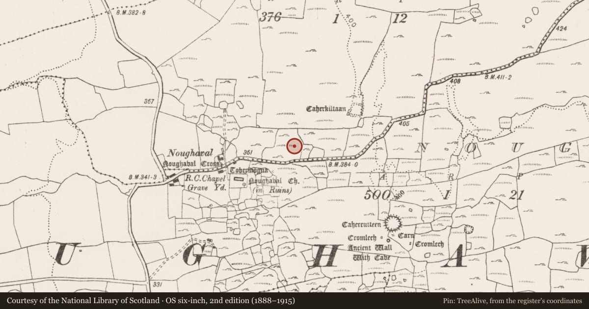 Ordnance Survey six-inch map, 2nd edition (1888–1915) covering the location of Enclosure, Kiltaan, County Clare, with a pin at the register's coordinates