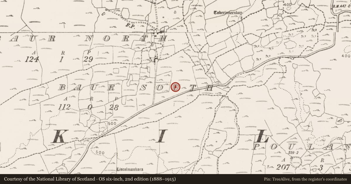 Ordnance Survey six-inch map, 2nd edition (1888–1915) covering the location of Field system, County Clare, with a pin at the register's coordinates