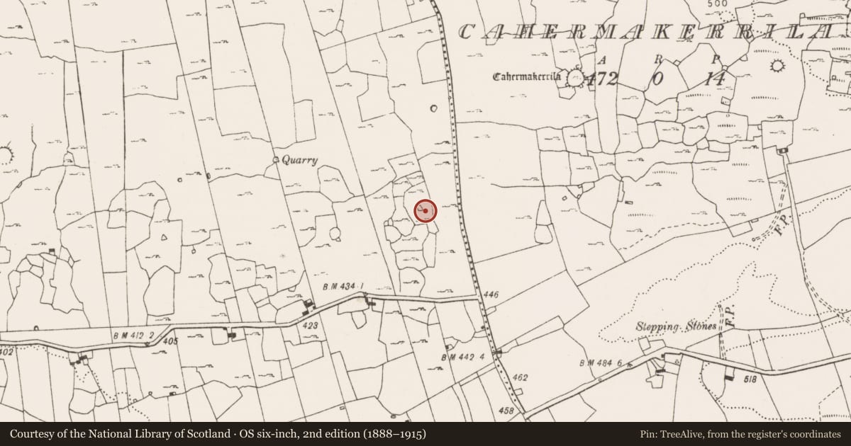 Ordnance Survey six-inch map, 2nd edition (1888–1915) covering the location of Hut site, Ballyconnoe South, County Clare, with a pin at the register's coordinates