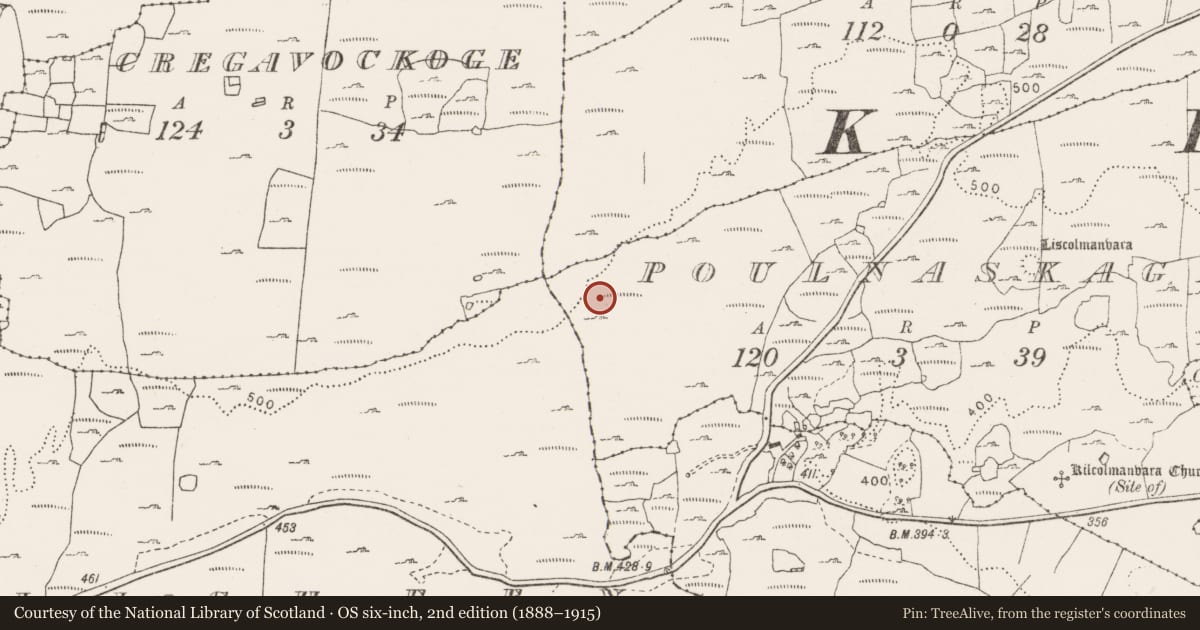 Ordnance Survey six-inch map, 2nd edition (1888–1915) covering the location of Enclosure, Poulnaskagh, County Clare, with a pin at the register's coordinates