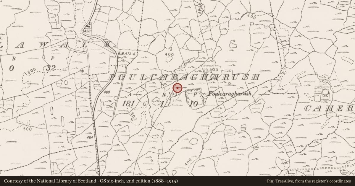 Ordnance Survey six-inch map, 2nd edition (1888–1915) covering the location of Enclosure, Poulcaragharush, County Clare, with a pin at the register's coordinates