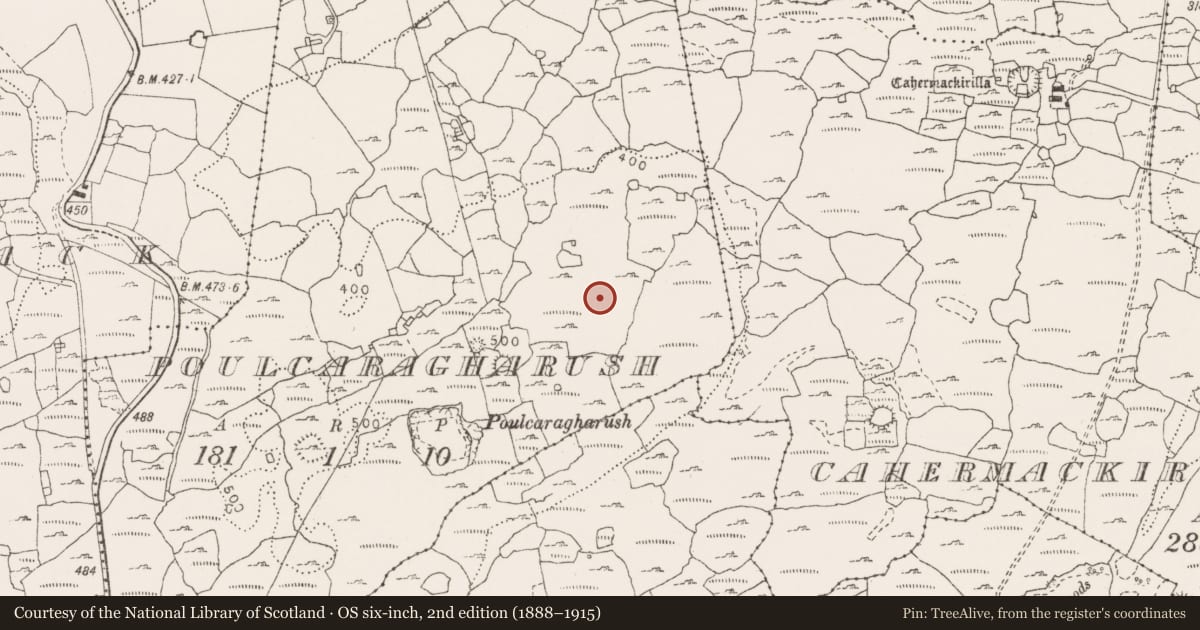 Ordnance Survey six-inch map, 2nd edition (1888–1915) covering the location of Enclosure, Poulcaragharush, County Clare, with a pin at the register's coordinates