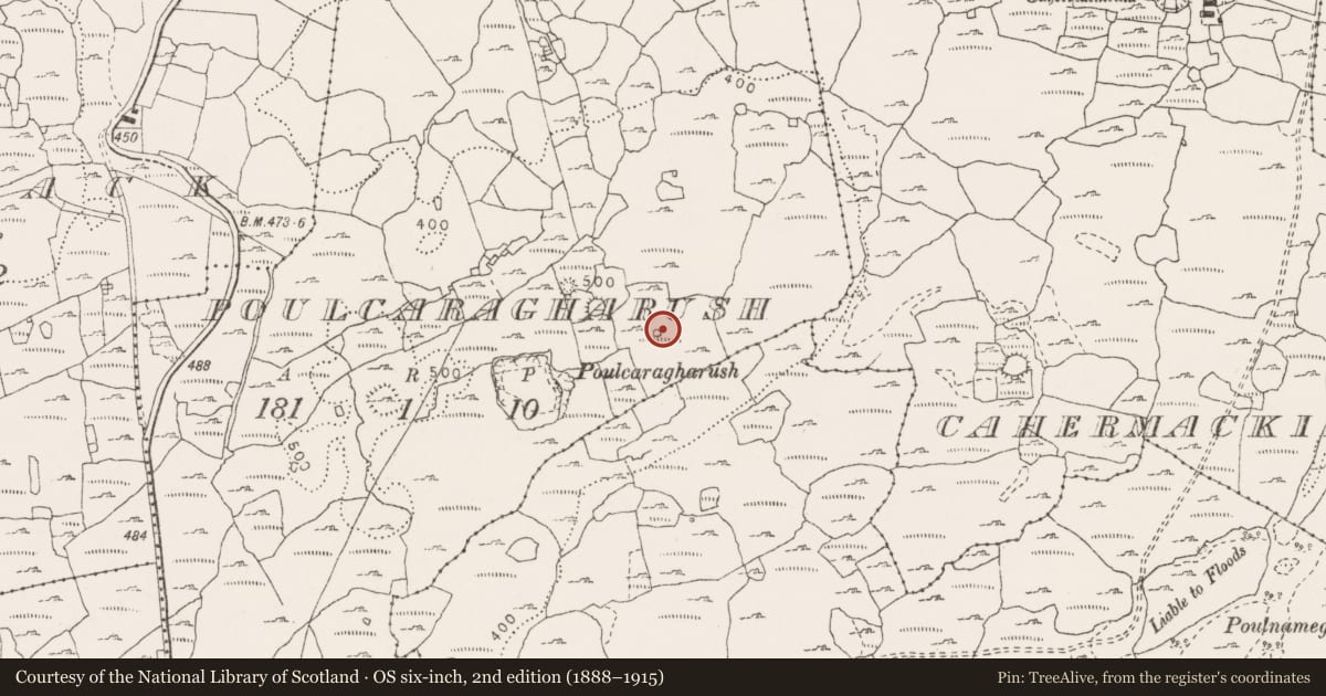 Ordnance Survey six-inch map, 2nd edition (1888–1915) covering the location of Enclosure, Poulcaragharush, County Clare, with a pin at the register's coordinates