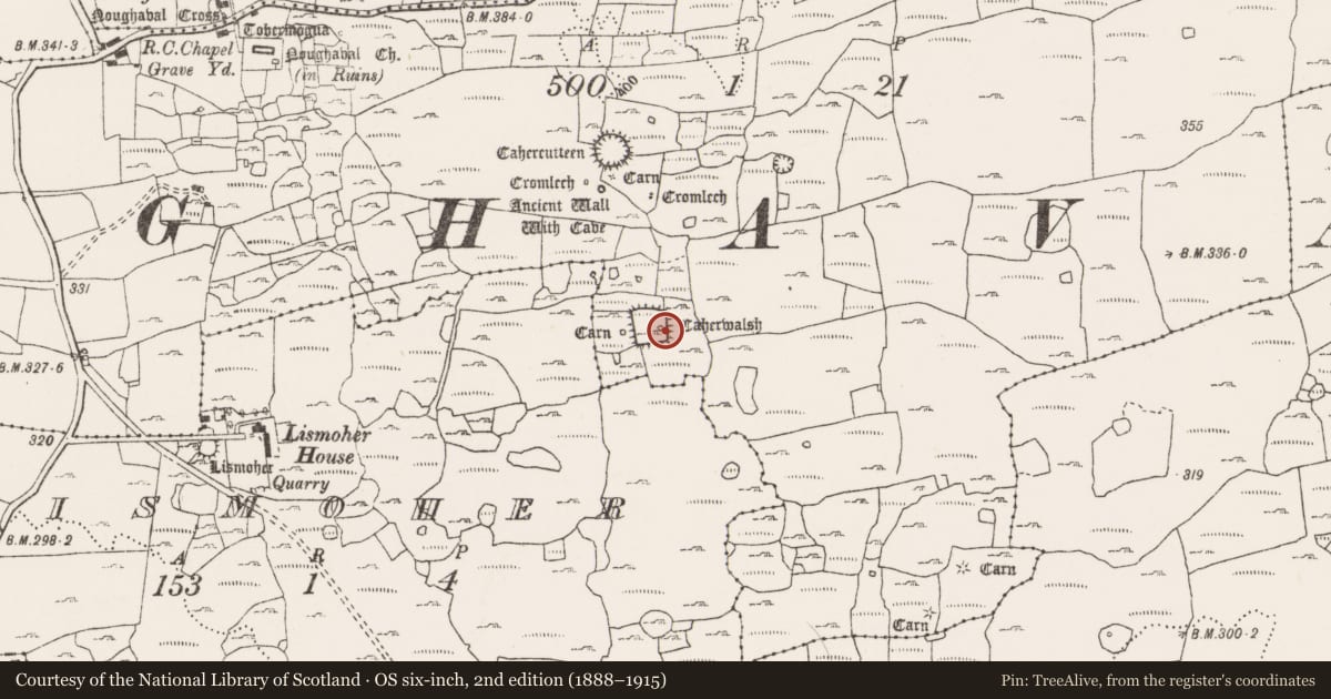 Ordnance Survey six-inch map, 2nd edition (1888–1915) covering the location of House - indeterminate date, Noughaval, County Clare, with a pin at the register's coordinates