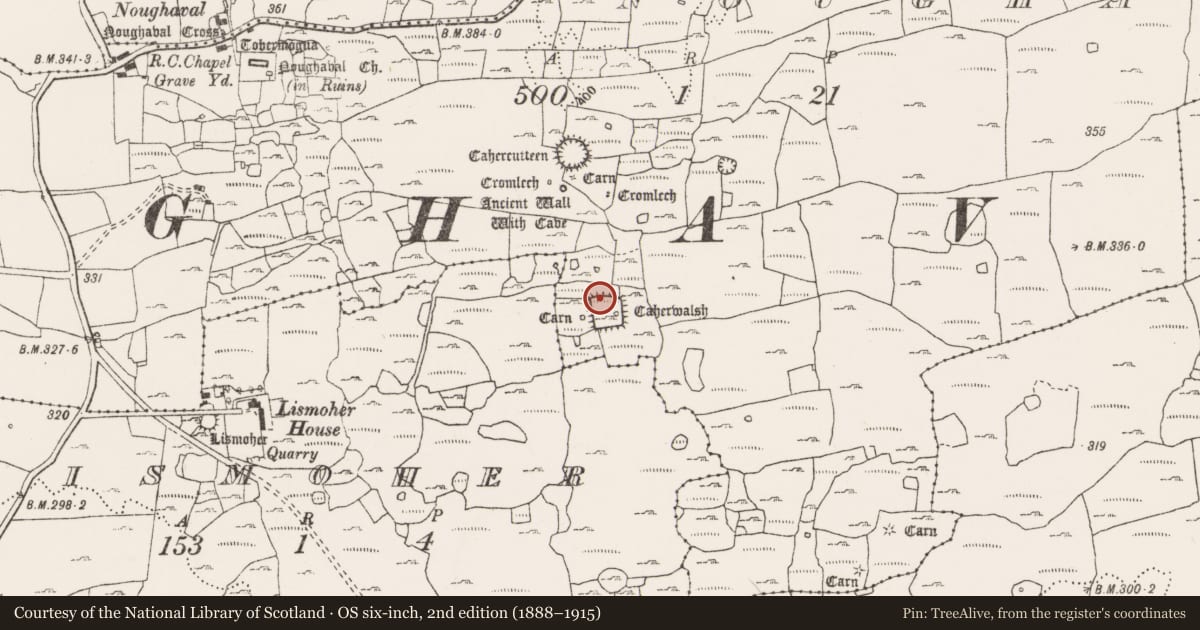 Ordnance Survey six-inch map, 2nd edition (1888–1915) covering the location of House - indeterminate date, Noughaval, County Clare, with a pin at the register's coordinates