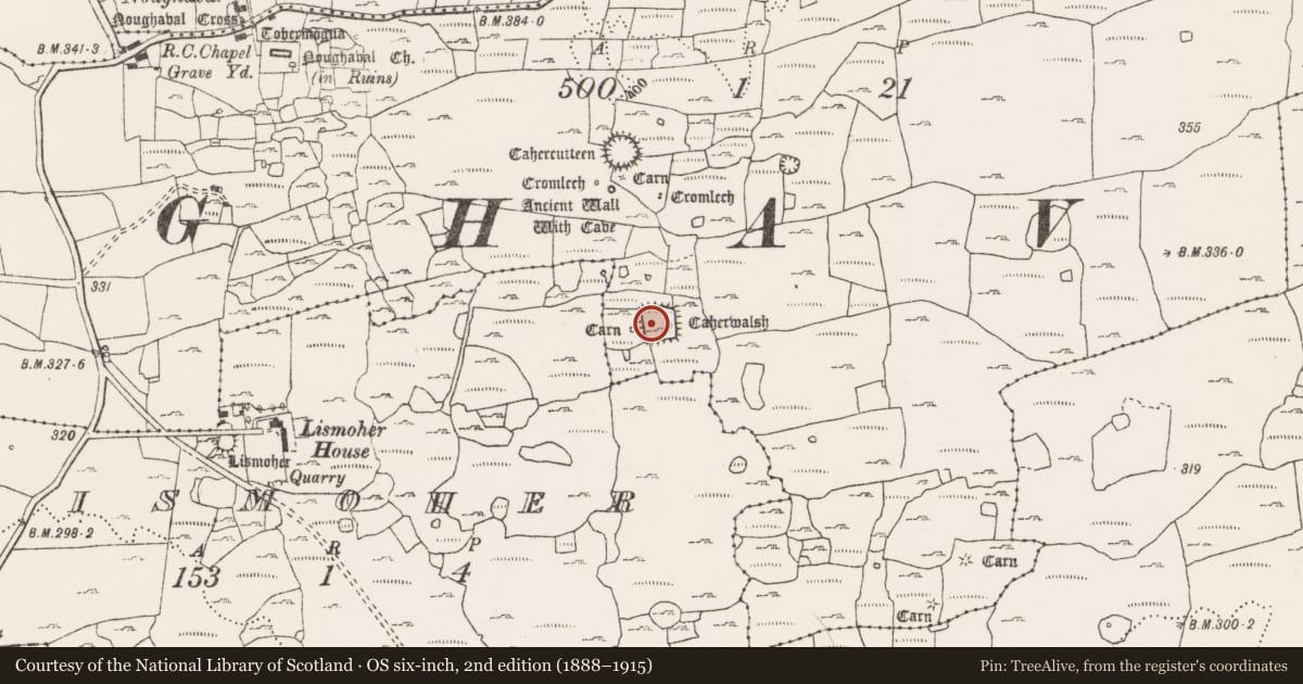 Ordnance Survey six-inch map, 2nd edition (1888–1915) covering the location of House - indeterminate date, Noughaval, County Clare, with a pin at the register's coordinates