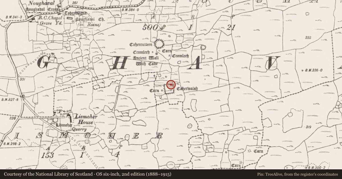 Ordnance Survey six-inch map, 2nd edition (1888–1915) covering the location of Structure, Noughaval, County Clare, with a pin at the register's coordinates
