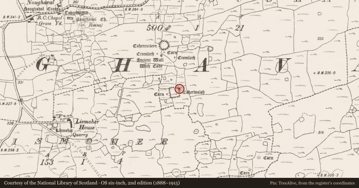 Ordnance Survey six-inch map, 2nd edition (1888–1915) covering the location of Structure, Noughaval, County Clare, with a pin at the register's coordinates