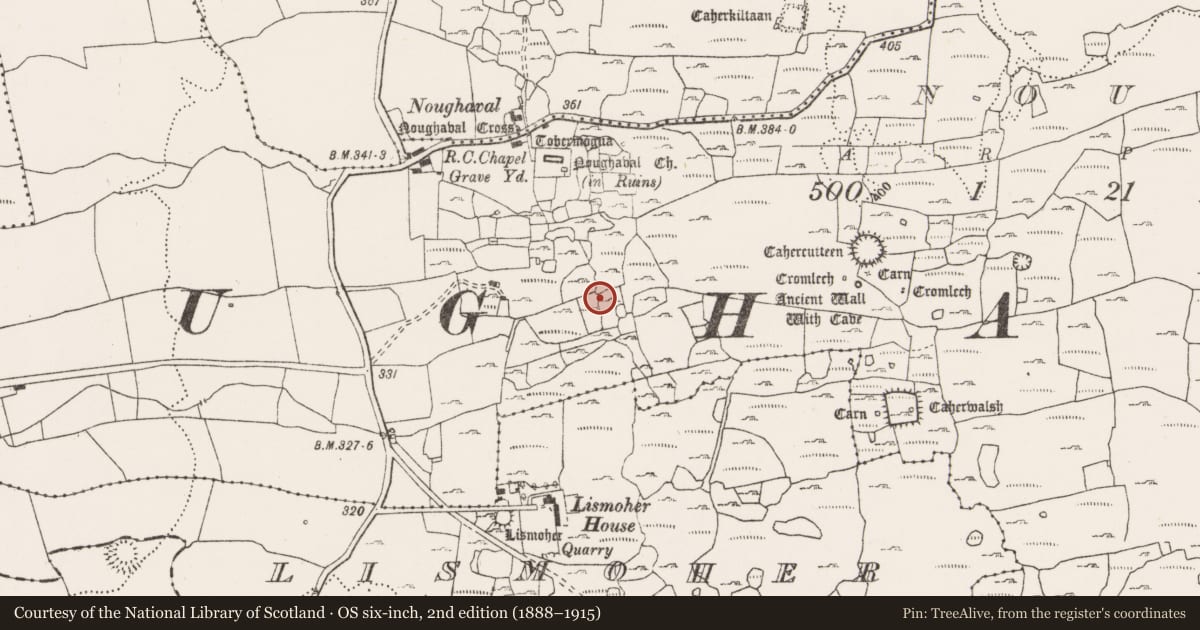 Ordnance Survey six-inch map, 2nd edition (1888–1915) covering the location of Enclosure, Noughaval, County Clare, with a pin at the register's coordinates