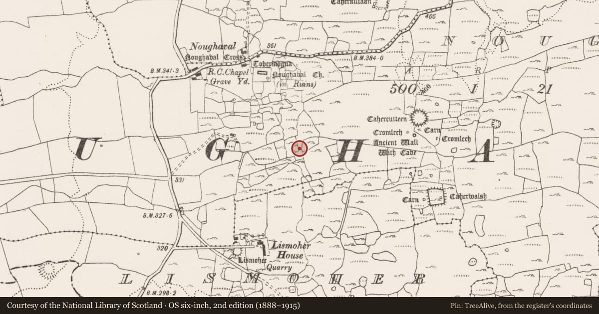Ordnance Survey six-inch map, 2nd edition (1888–1915) covering the location of Enclosure, Noughaval, County Clare, with a pin at the register's coordinates