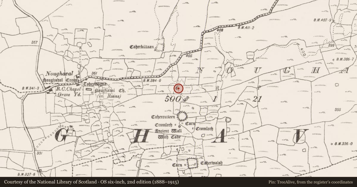 Ordnance Survey six-inch map, 2nd edition (1888–1915) covering the location of Hut site, Noughaval, County Clare, with a pin at the register's coordinates