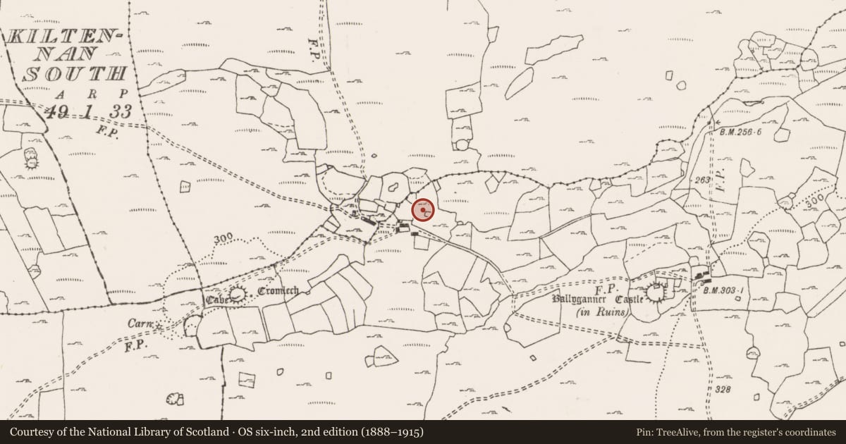 Ordnance Survey six-inch map, 2nd edition (1888–1915) covering the location of Enclosure, Ballyganner South, County Clare, with a pin at the register's coordinates
