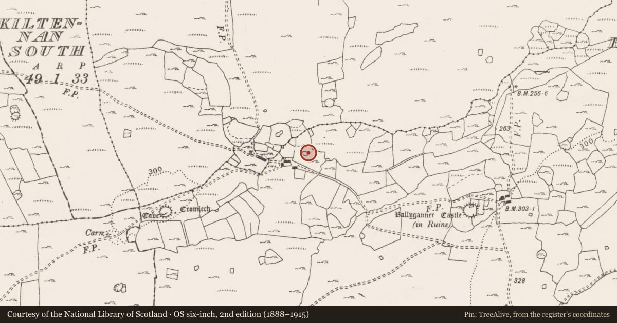 Ordnance Survey six-inch map, 2nd edition (1888–1915) covering the location of Enclosure, Ballyganner South, County Clare, with a pin at the register's coordinates