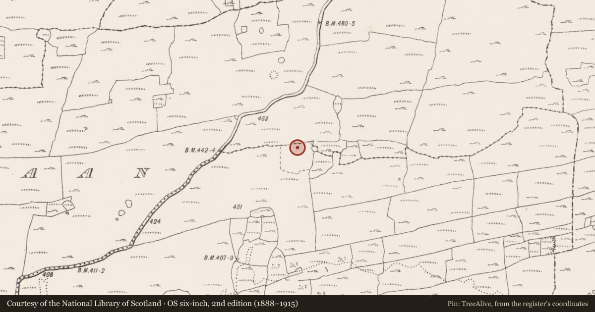 Ordnance Survey six-inch map, 2nd edition (1888–1915) covering the location of Enclosure, Noughaval, County Clare, with a pin at the register's coordinates