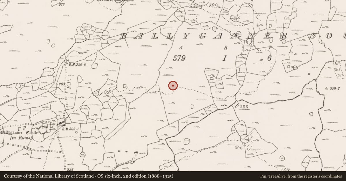 Ordnance Survey six-inch map, 2nd edition (1888–1915) covering the location of Hut site, Ballyganner South, County Clare, with a pin at the register's coordinates