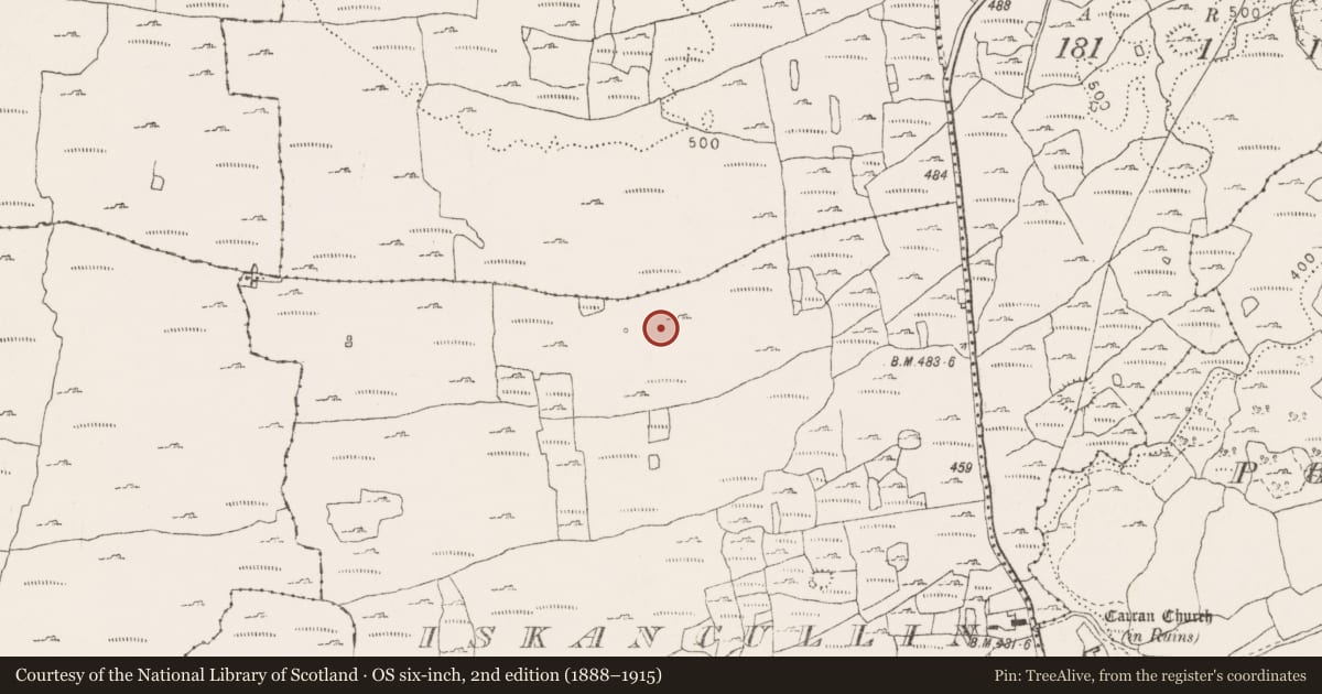 Ordnance Survey six-inch map, 2nd edition (1888–1915) covering the location of Ringfort - cashel, Iskancullin, County Clare, with a pin at the register's coordinates