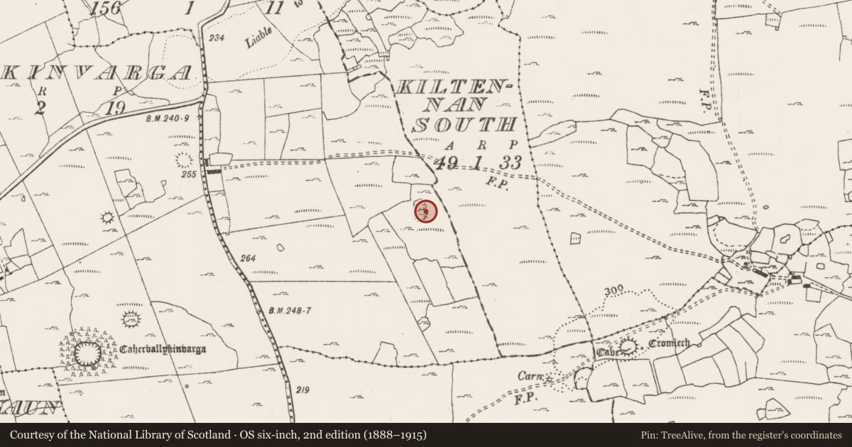 Ordnance Survey six-inch map, 2nd edition (1888–1915) covering the location of Enclosure, Ballyhomulta, County Clare, with a pin at the register's coordinates