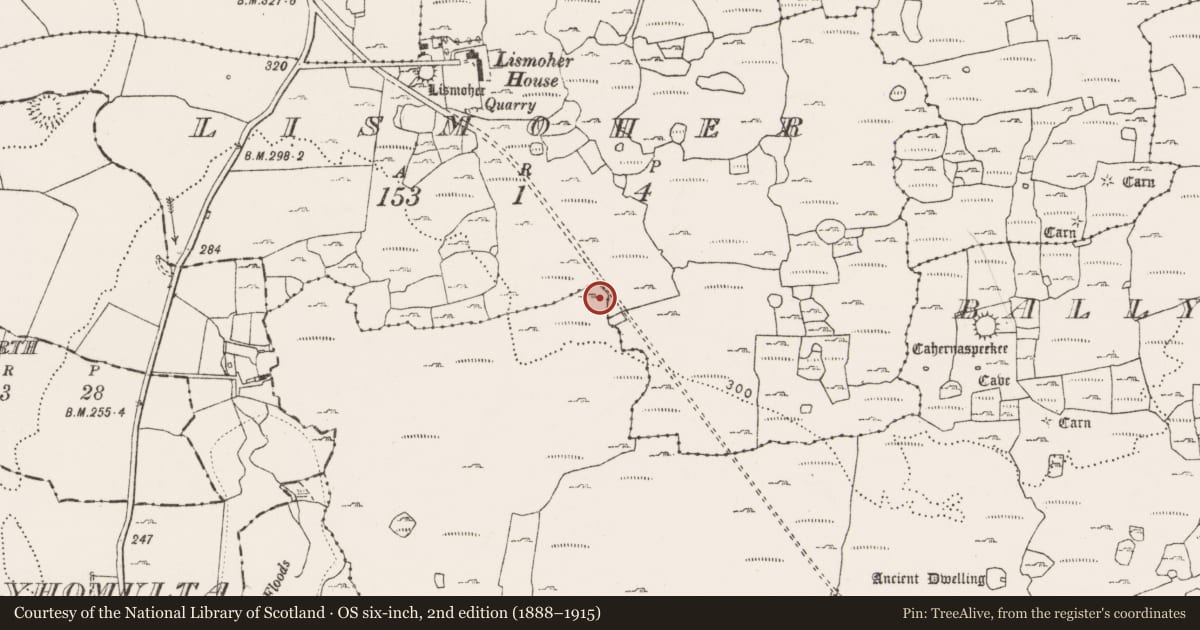 Ordnance Survey six-inch map, 2nd edition (1888–1915) covering the location of Hut site, Ballyganner North, County Clare, with a pin at the register's coordinates
