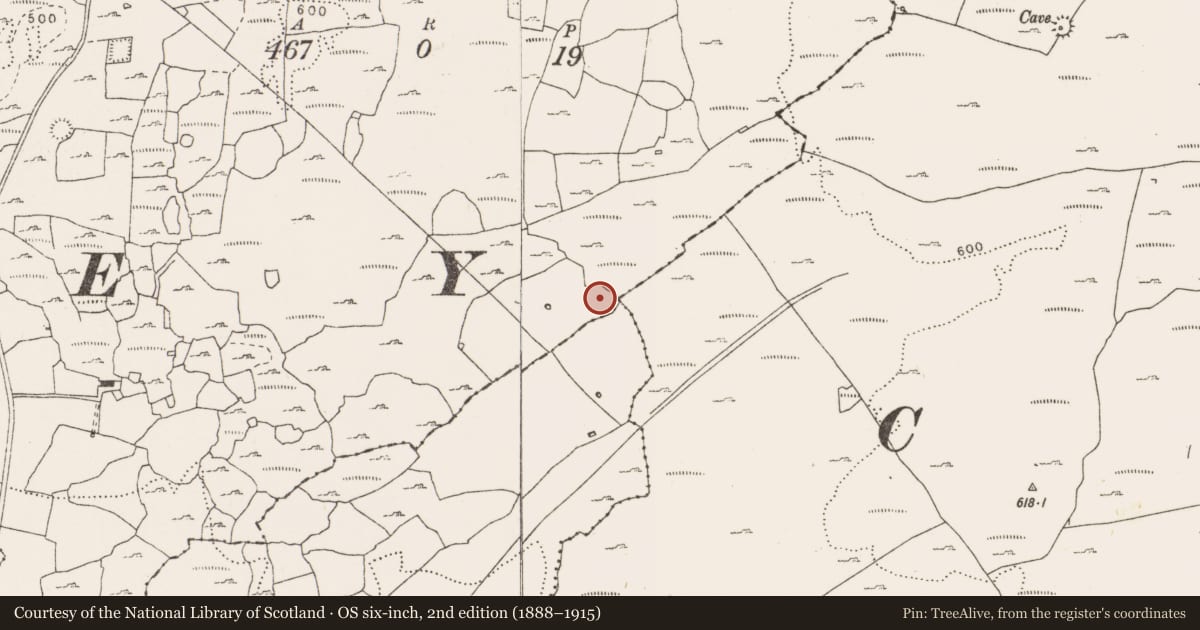 Ordnance Survey six-inch map, 2nd edition (1888–1915) covering the location of Enclosure, Eanty More, Rannagh West, County Clare, with a pin at the register's coordinates