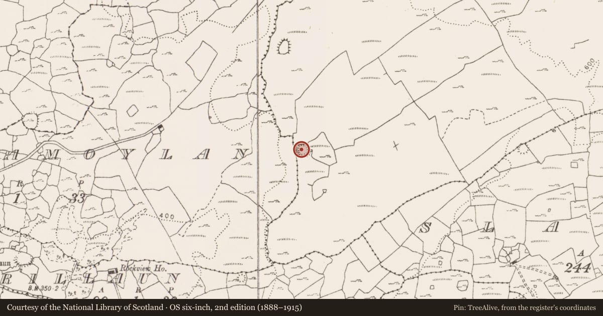 Ordnance Survey six-inch map, 2nd edition (1888–1915) covering the location of Ringfort - cashel, Rannagh West, County Clare, with a pin at the register's coordinates