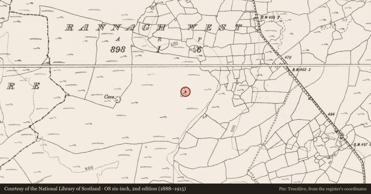 Ordnance Survey six-inch map, 2nd edition (1888–1915) covering the location of Ringfort - cashel, Rannagh West, County Clare, with a pin at the register's coordinates