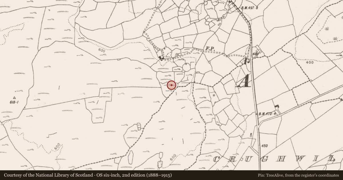 Ordnance Survey six-inch map, 2nd edition (1888–1915) covering the location of Enclosure, Rannagh West, County Clare, with a pin at the register's coordinates