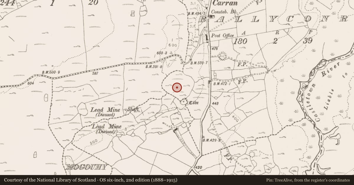 Ordnance Survey six-inch map, 2nd edition (1888–1915) covering the location of Enclosure, County Clare, with a pin at the register's coordinates