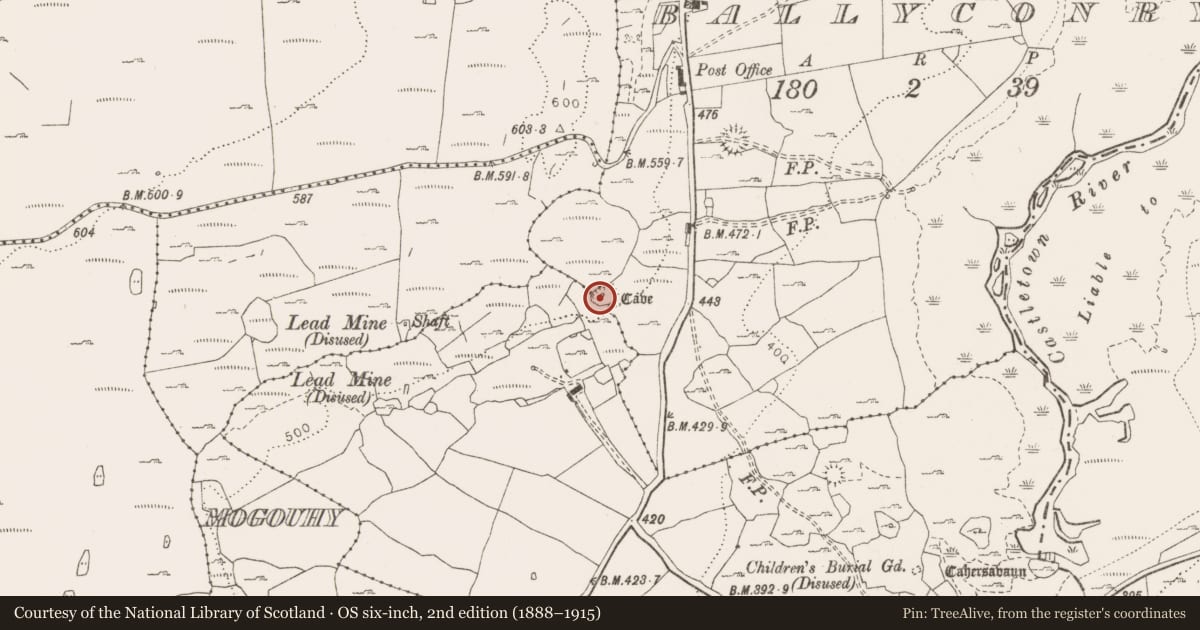 Ordnance Survey six-inch map, 2nd edition (1888–1915) covering the location of Cave, Castletown, County Clare, with a pin at the register's coordinates