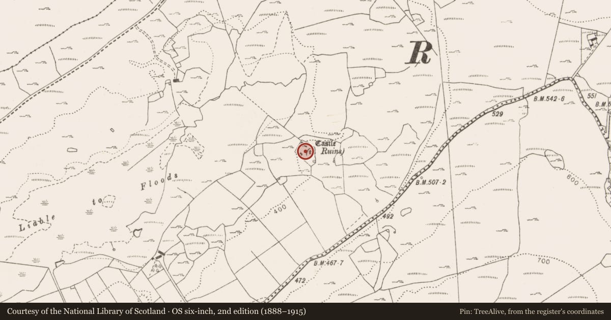 Ordnance Survey six-inch map, 2nd edition (1888–1915) covering the location of Castle - unclassified, Fahee North, County Clare, with a pin at the register's coordinates