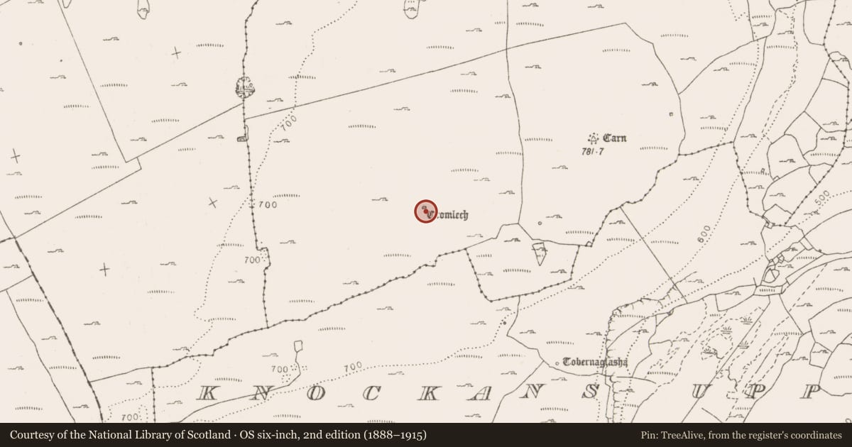 Ordnance Survey six-inch map, 2nd edition (1888–1915) covering the location of Megalithic tomb - wedge tomb, Cappaghkennedy, County Clare, with a pin at the register's coordinates