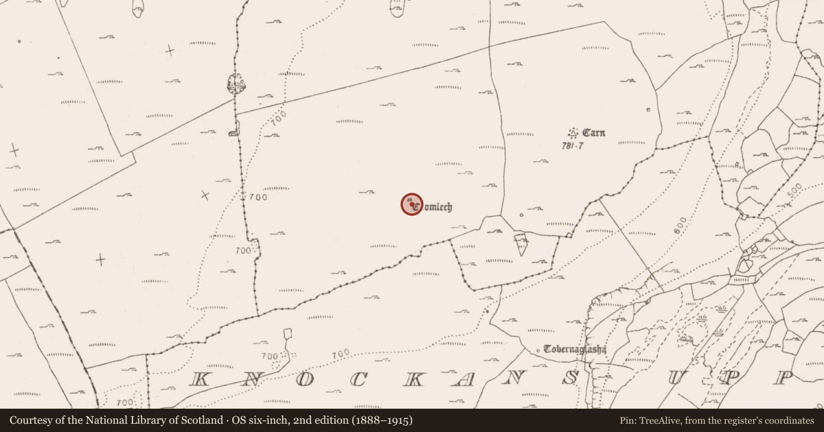 Ordnance Survey six-inch map, 2nd edition (1888–1915) covering the location of Rock art, Cappaghkennedy, County Clare, with a pin at the register's coordinates