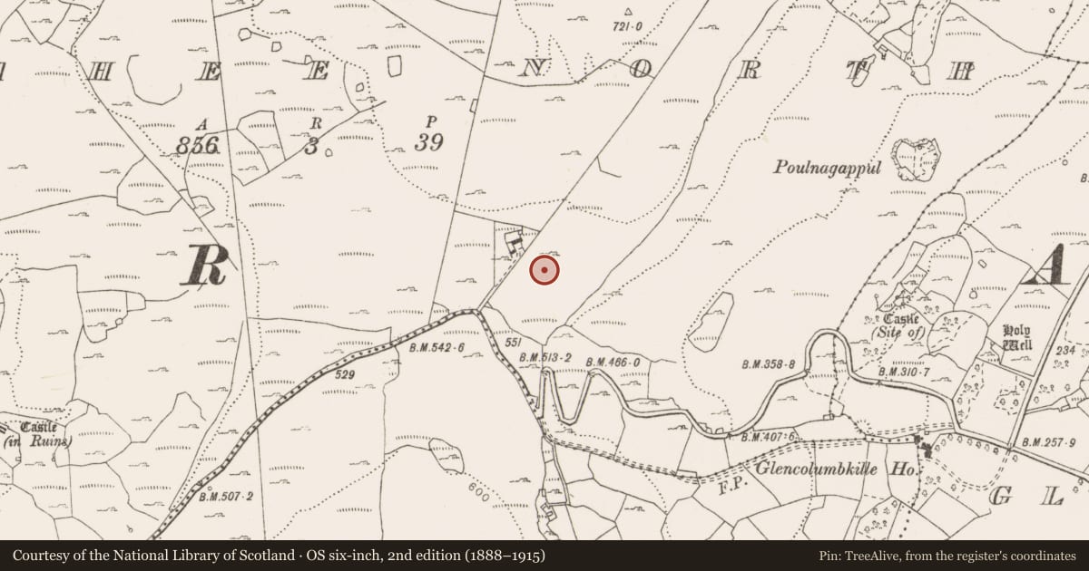 Ordnance Survey six-inch map, 2nd edition (1888–1915) covering the location of Enclosure, Fahee North, County Clare, with a pin at the register's coordinates