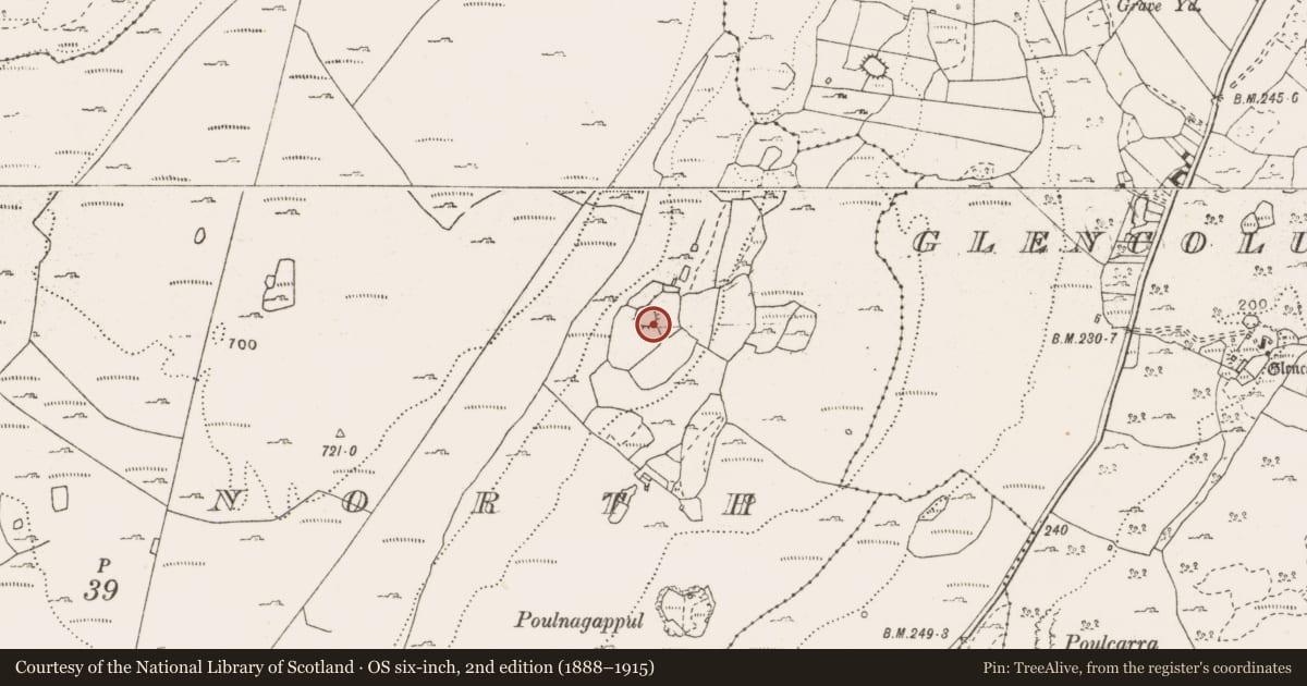 Ordnance Survey six-inch map, 2nd edition (1888–1915) covering the location of Ringfort - rath, Fahee North, County Clare, with a pin at the register's coordinates