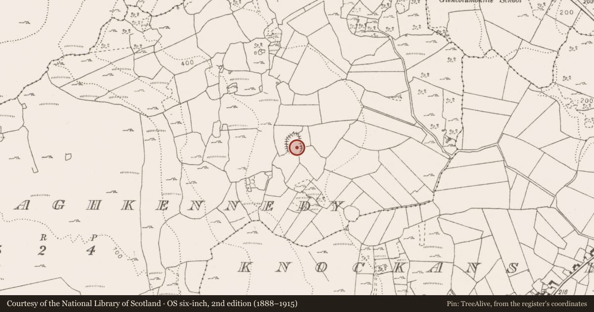 Ordnance Survey six-inch map, 2nd edition (1888–1915) covering the location of Hut site, Cappaghkennedy, County Clare, with a pin at the register's coordinates