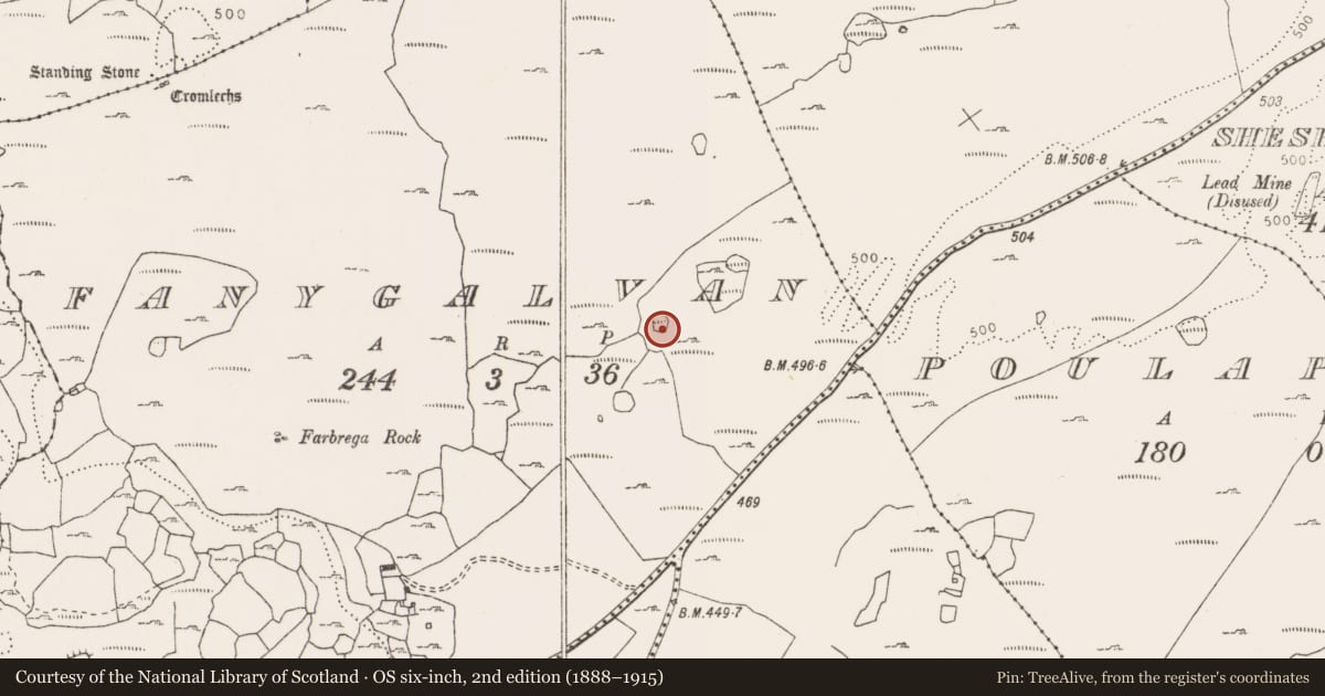 Ordnance Survey six-inch map, 2nd edition (1888–1915) covering the location of Enclosure, Fanygalvan, County Clare, with a pin at the register's coordinates