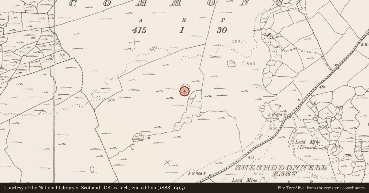 Ordnance Survey six-inch map, 2nd edition (1888–1915) covering the location of Ringfort - cashel, Commons, County Clare, with a pin at the register's coordinates