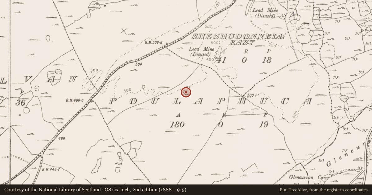 Ordnance Survey six-inch map, 2nd edition (1888–1915) covering the location of Enclosure, Poulaphuca, County Clare, with a pin at the register's coordinates