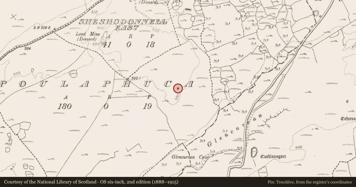Ordnance Survey six-inch map, 2nd edition (1888–1915) covering the location of Cist, Poulaphuca, County Clare, with a pin at the register's coordinates